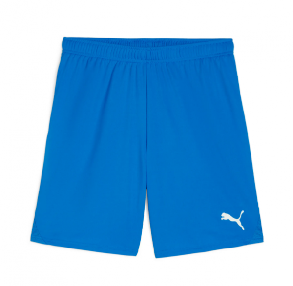 Puma teamGOAL Shorts - blau