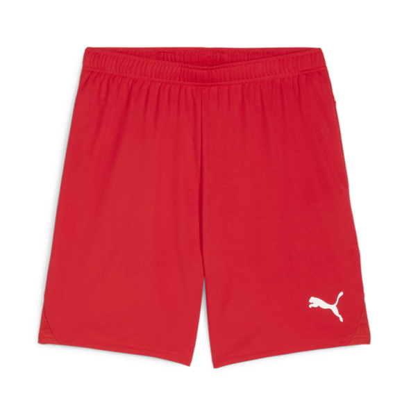 Puma teamGOAL Shorts - rot