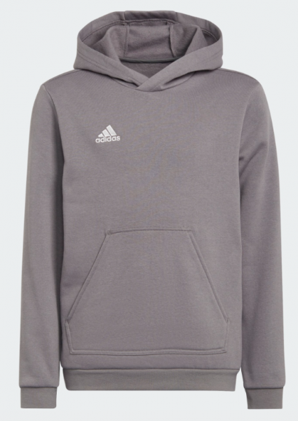 adidas Entrada22 Hoodie Junior - grau