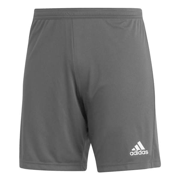 adidas Entrada 22 Shorts - grau