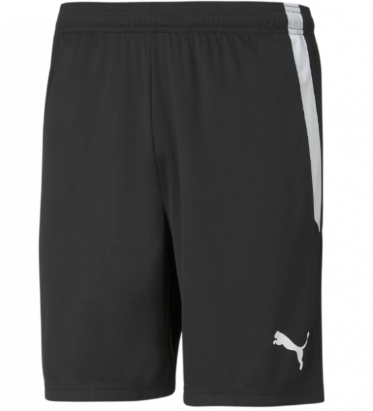 Puma teamLIGA Shorts - schwarz