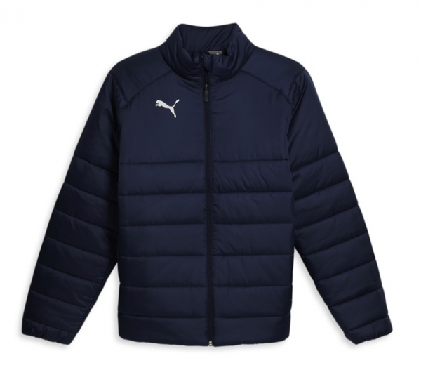 Puma teamLIGA Winterjacke - navy