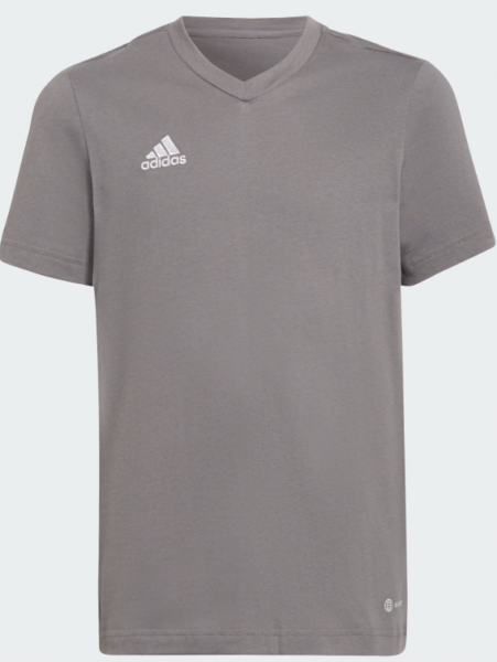 adidas Entrada22 T-Shirt - grau